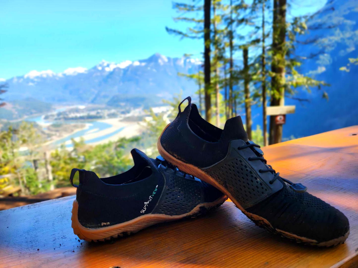 LightRunner® Harmony